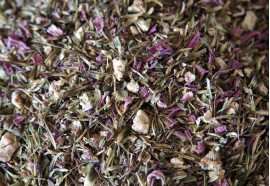 Echinacea kvet 50g